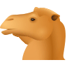 Camel on Icons8