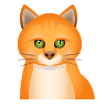 cat Emoji icons8