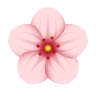 Cherry Blossom on Icons8