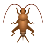 Cricket on Icons8
