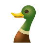 duck Emoji icons8