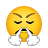 face-with-steam-from-nose Emoji icons8