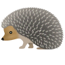 Hedgehog on Icons8