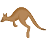 Kangaroo on Icons8
