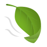 leaf-fluttering-in-wind Emoji icons8
