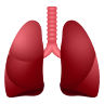 Lungs on Icons8