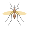 mosquito Emoji icons8