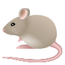 mouse Emoji icons8