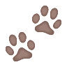 Paw Prints on Icons8