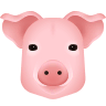 pig-face Emoji icons8