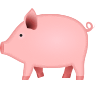 Pig on Icons8