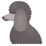Poodle on Icons8