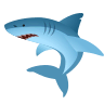Shark on Icons8