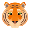 Tiger Face on Icons8