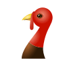 Turkey on Icons8