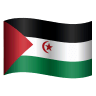 Flag: Western Sahara on Icons8