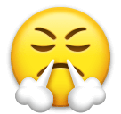 face-with-steam-from-nose Emoji lg