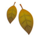 fallen-leaf Emoji lg