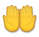 palms-up-together Emoji lg
