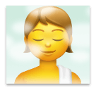 person-in-steamy-room Emoji lg