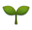 seedling Emoji lg