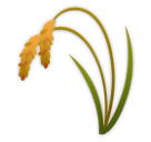 sheaf-of-rice Emoji lg