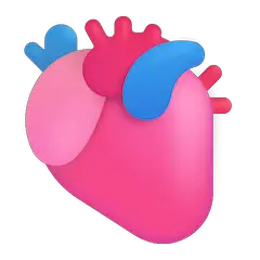 🫀 Anatomical Heart Emoji on Windows
