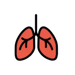 🫁 Lungs Emoji in Openmoji
