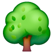 deciduous-tree Emoji samsung