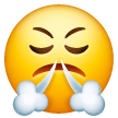 face-with-steam-from-nose Emoji samsung