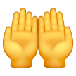 palms-up-together Emoji samsung