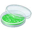 Placa Petri Emoji Samsung