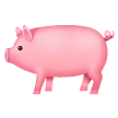 Pig Emoji on Samsung Phones