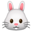 🐰 Rabbit Face Emoji on Samsung Phones