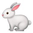 Rabbit Emoji on Samsung Phones