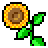 sunflower Emoji softbank