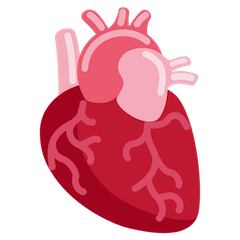 🫀 Anatomical Heart Emoji on Twitter