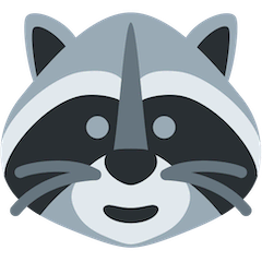 🦝 Raccoon Emoji on Twitter