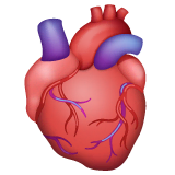 anatomical-heart Emoji whatsapp