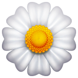 🌼 Blossom Emoji on WhatsApp