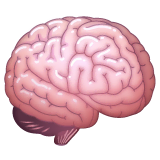 brain Emoji whatsapp