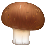 Cogumelo marrom on WhatsApp