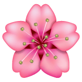 Flor de cerejeira Emoji WhatsApp
