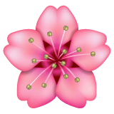 cherry-blossom Emoji whatsapp
