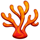 Коралл on WhatsApp