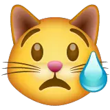 😿 Плачущая кошачья мордочка Эмодзи в WhatsApp