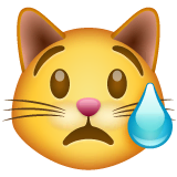 crying-cat Emoji whatsapp