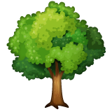 deciduous-tree Emoji whatsapp