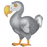 dodo Emoji whatsapp