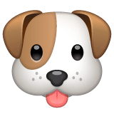 🐶 Hundekopf Emoji auf WhatsApp
